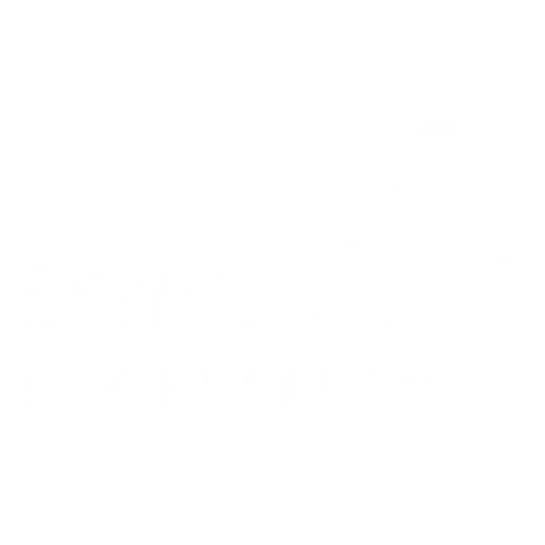 Shchwarzkopf
